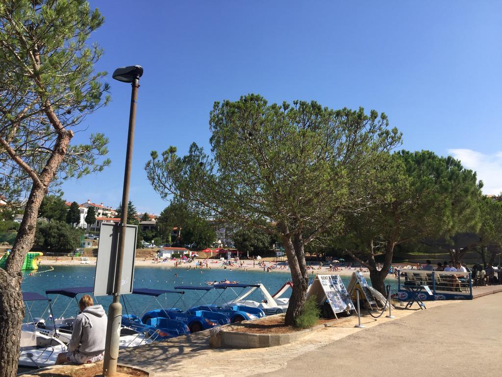 Narzissa Apartament